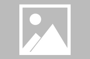 官方通报网红白虎小孬意外离世：饲养员违规操作致两虎发生打斗